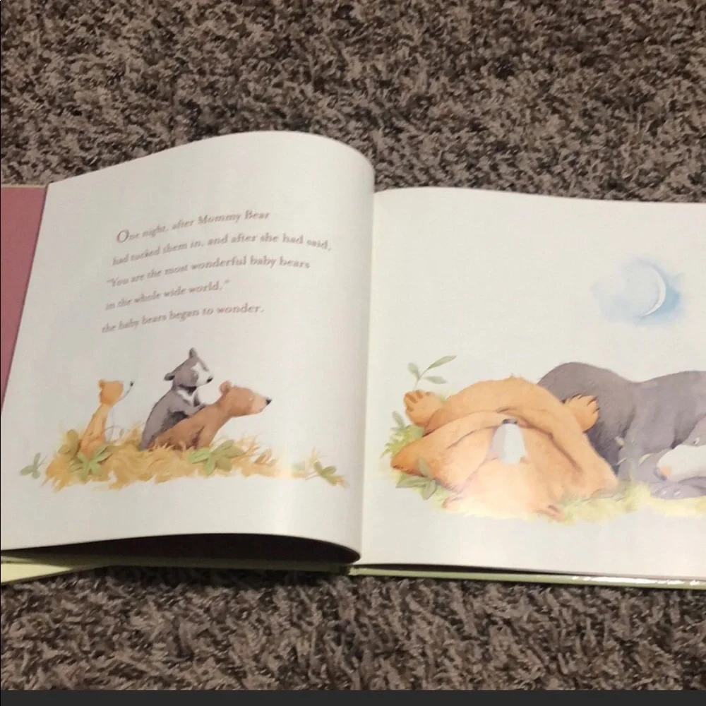 Set of 2 Bear Themed Children’s Reading Books
